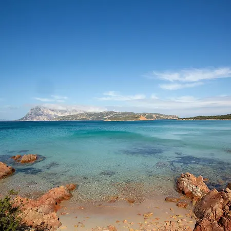 Spacious House In Appartamento San Teodoro (Sardinia)